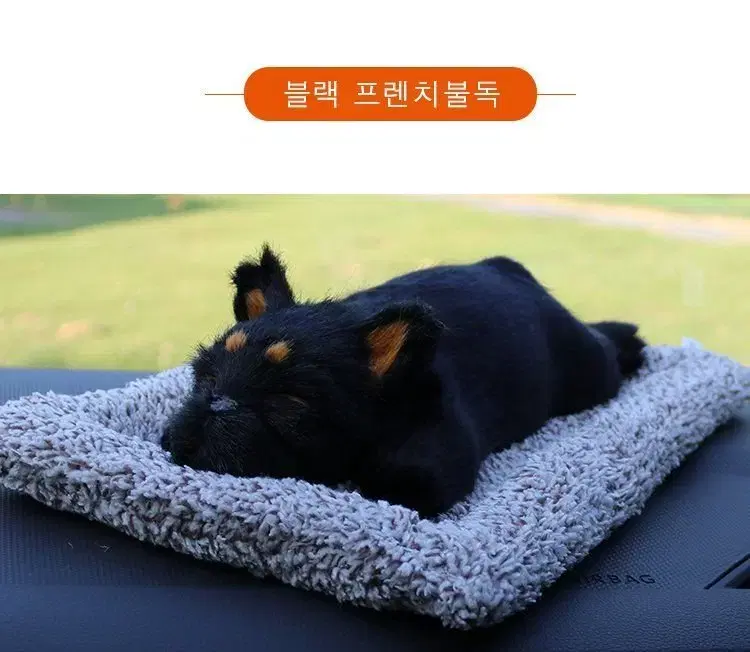 새 프렌치불독 차량용 미니 강아지 제습 인형 활성탄 탈취 공기 청정 건강